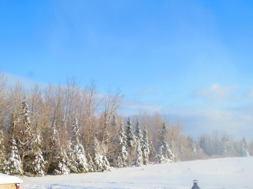 Le Gite Ambrelane Thetford Mines Exterior foto