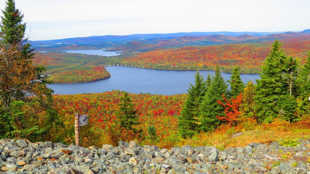 Le Gite Ambrelane Thetford Mines Exterior foto